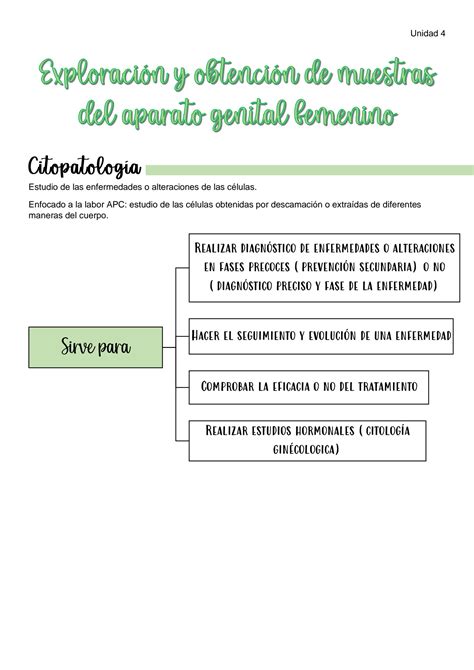 SOLUTION Tema 4 Exploraci N Y Obtenci N De Muestras Del Aparato