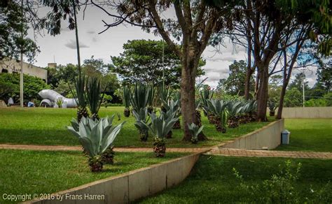 Garden Of The Centro Cultural Banco Do Brasil Brasília Frans Harren