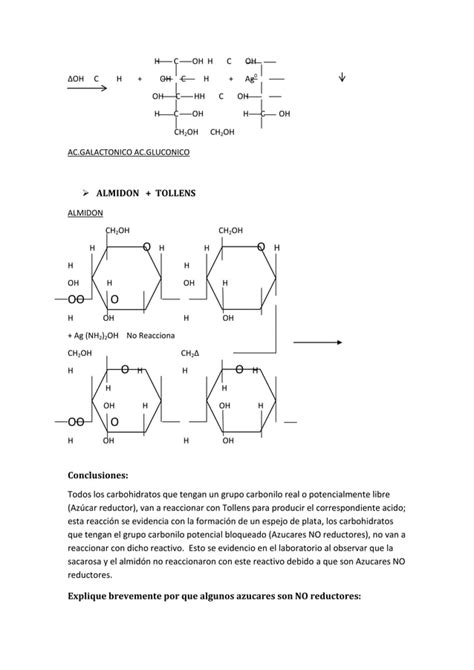 Reporte Quimica Organica General PDF