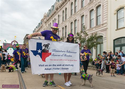 Krewe of Barkus & Meoux Parade - Blog - celebrategalveston.com