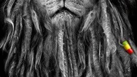 Rasta Lion Wallpapers Top Free Rasta Lion Backgrounds Wallpaperaccess