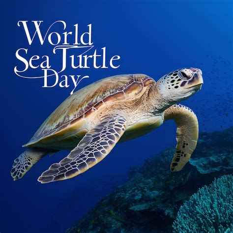 Premium Photo World Sea Turtle Day