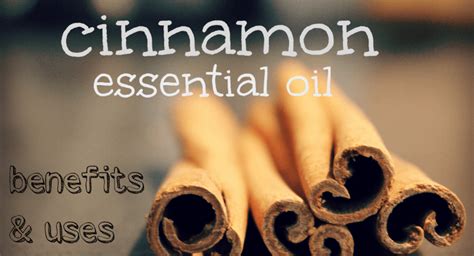 Benefits and Uses of Cinnamon Essential Oil