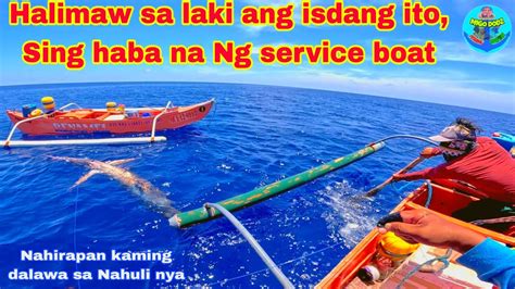 Part Pacific Adventure Halimaw Sa Laki Ang Isdang Ito Sing Haba