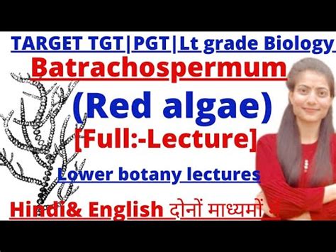 U P TGT PGT Biology Batrachospermum Red Algae Full Lecture Lt Grade