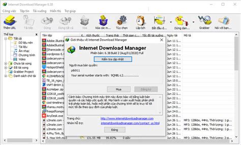 Internet Download Manager 6 39 2