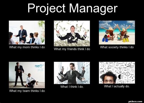 Project Manager What My M Perception Vs Fact Picloco