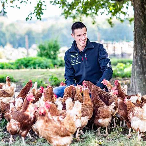 Eier Freilandhaltung Geflügelspezialitäten vom Gut Neuhof