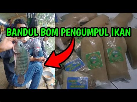 Bom Bandul Pengumpul Ikan Youtube