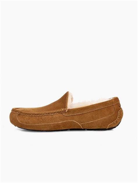 Ugg Men S Ascot Slippers Chestnut