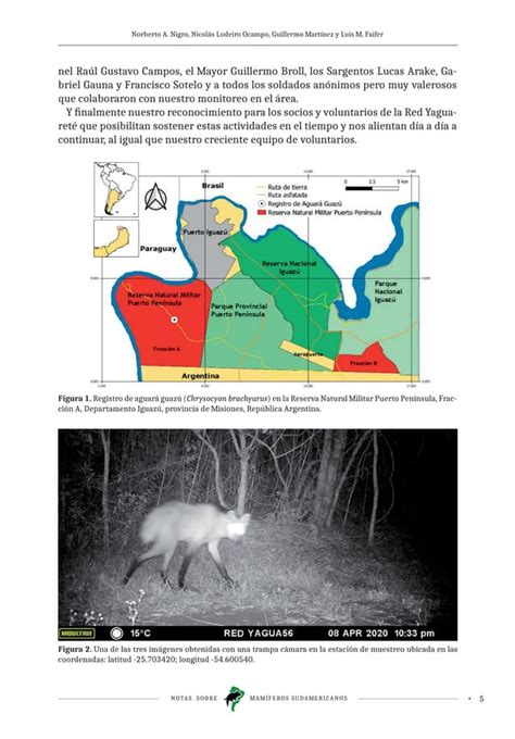 Aguara Guazu En La Selva Misionera PDF