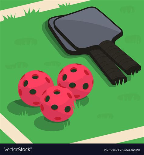 Concept Of Pickleball Equipment Rackets Balls Vector Image