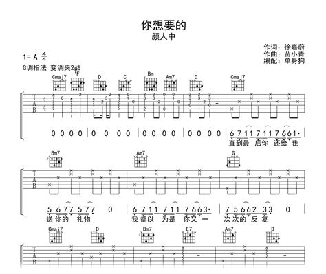 你想要的吉他谱颜人中g调弹唱六线谱吉他帮