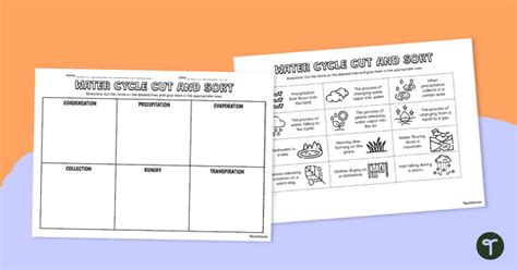 Water Cycle Cut And Sort Activity Teach Starter