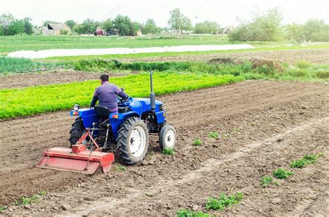 El Agricultor En Un Tractor Con Fresadora Afloja Muele Y Mezcla El