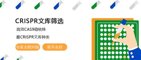 Crispr文库筛选基因敲除细胞点突变文库筛选crispr检测艾迪基因【官网】