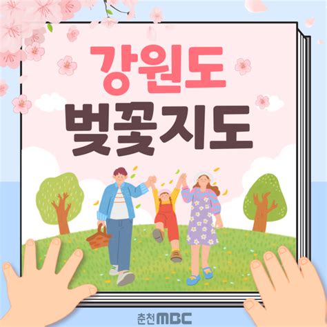 🌸강원도 벚꽃 이걸로 정리 끝났다 🌸 강원도 벚꽃 총정리 네이버 블로그