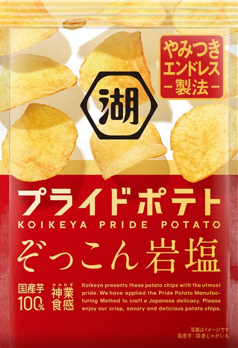 湖池屋プライドポテト ぞっこん岩塩 日清食品グループ オンラインストア