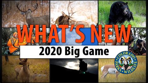 Colorado Big Game 2024