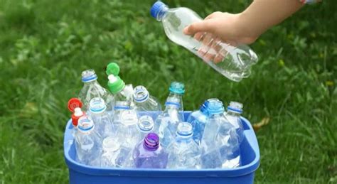 Come Guadagnare Con Il Riciclo Delle Bottiglie Di Plastica Ecco I