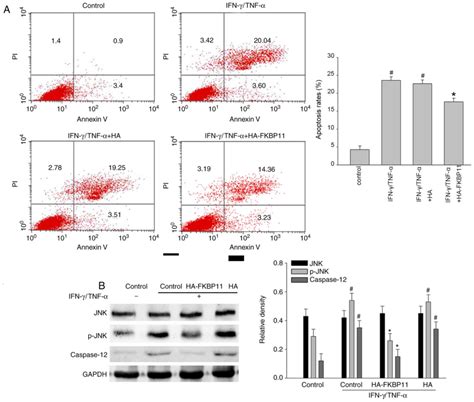 FKBP11 Protects Intestinal Epithelial Cells Against Inflammation