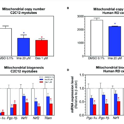 Mitochondrial Dna Copy Number And Markers Of Mitochondrial Biogenesis