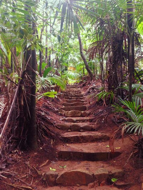 Vallee de Mai, Praslin, Seychelles