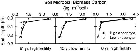 Soil Microbial Biomass C With Depth Under Tall Fescue As Affected By