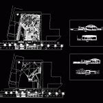 Coconut Palm Tree Plant Front View Elevation And Top View Plan 2D DWG