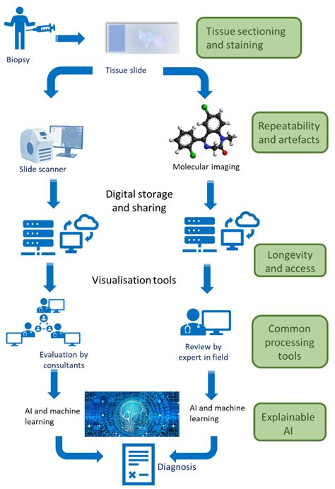 Jmp Free Full Text Next Generation Digital Pathology Emerging