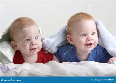 Beautiful twin babies stock image. Image of handsome, innocent - 5066309