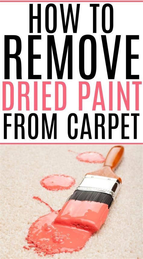 How To Get Dried Paint Out Of Carpet And Other Gross Stains Artofit