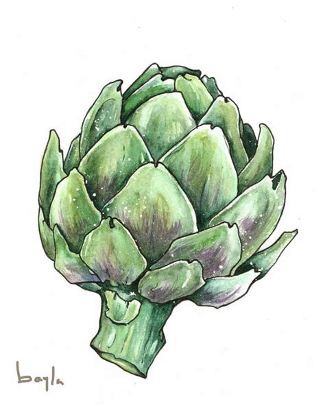 Artichoke 1 By Baylaart On Etsy Vegetable Painting Succulents Drawing Drawings