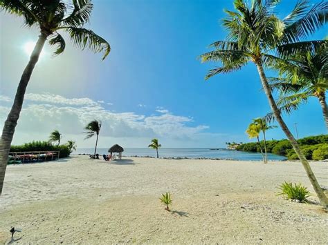 Islamorada Vacation Rentals | Houseboat and Villa Rentals | Airbnb