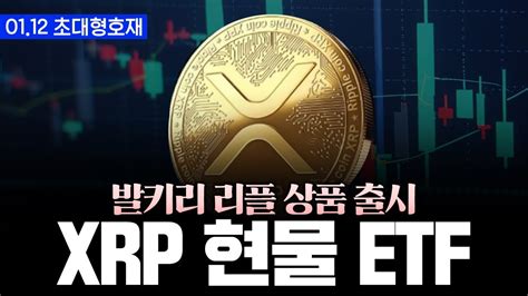 리플 Xrp 현물 Etf 출시 이더리움보다 빨리 출시된다 리플 Youtube