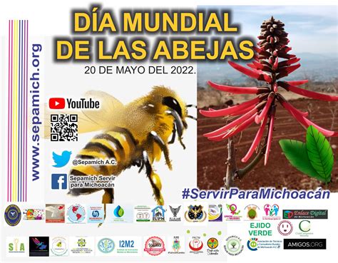 DÍa Mundial De Las Abejas Sepamich