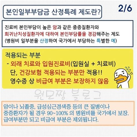 건강보험 산정특례 제도란 무엇일까요 중증질환자 산정특례 네이버 블로그