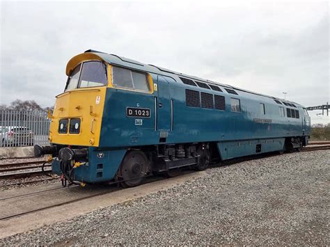 D1023 Western Fusilier Didcot Railway Centre