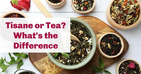 Tea vs Tisane. What's The Difference? - Steeped Street