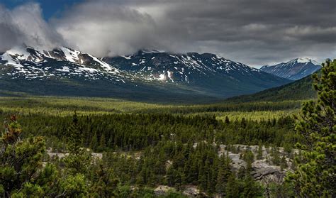 Yukon Wilderness Photograph by Ed Clark - Fine Art America