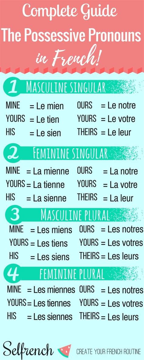 Educational Infographic The Possessive Pronouns In French Les