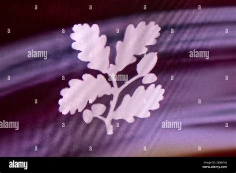 National Trust Logo Hi Res Stock Photography And Images Alamy
