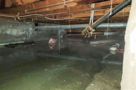 How To Waterproof A Crawl Space A Step By Step Guide House Integrals