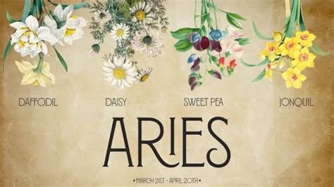 Aries Birth Flower