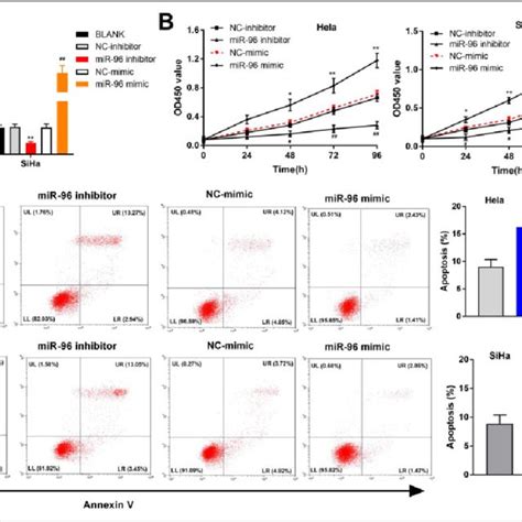 Mir 101 Negatively Regulated Kdm1a To Affect Cell Proliferation And Download Scientific Diagram