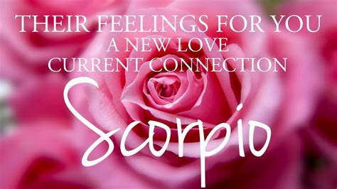 Scorpio Love Tarot ♏️ Someone Who Wants To Move This Connection Onto