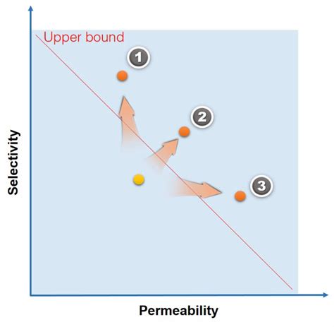 Maximizing The Right Stuff The Trade Off Between Membrane Permeability