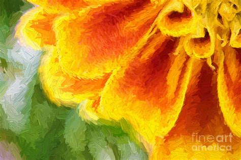 Marigold 2 Painting By Robert Gaines Fine Art America