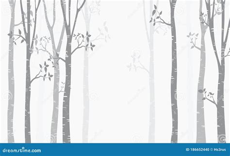 Birch Tree Silhouette Background Silhouette Vector Illustration ...