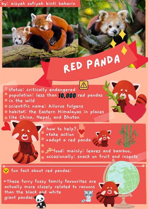 Fascinating Red Pandas A Guide To These Unique Mammals